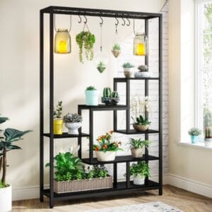 Siyah Çiçeklik & Saksılık ve Düzenleyici